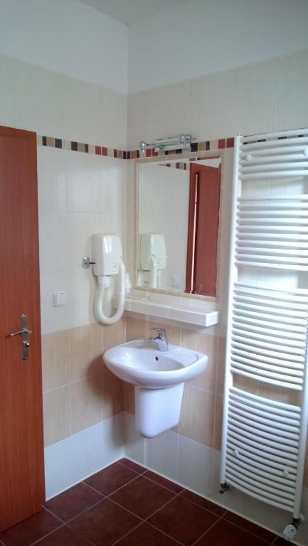 Pension Mlyn Stare Mitrovice Sedlec-Prcice Extérieur photo